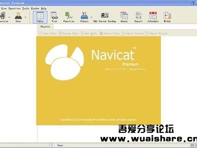 navicat吾爱