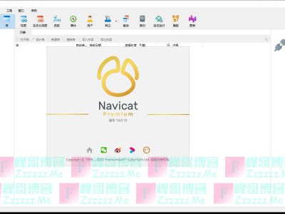 navicat网页版