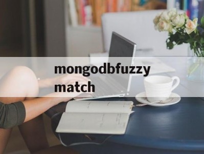 mongodbfuzzymatch_fuzzysetsandsystems