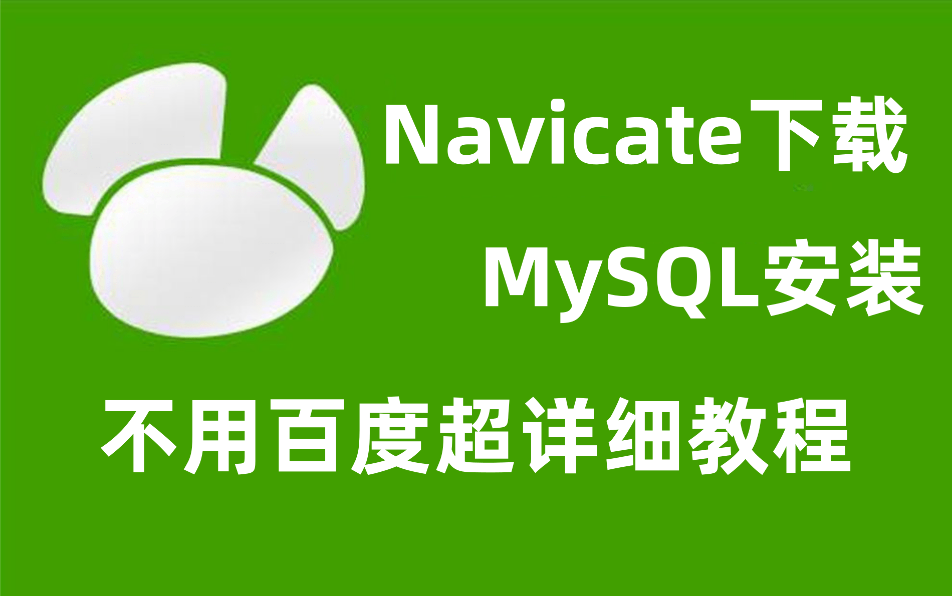 关于navicatvs的信息