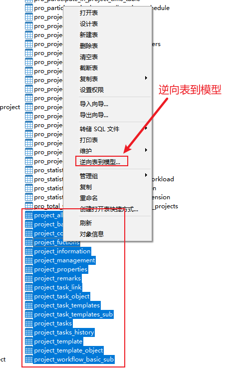 navicater图显示注释