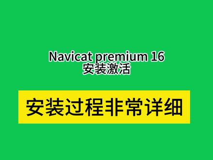 navicat汉化包