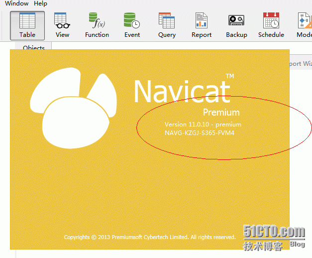 navicatwindows