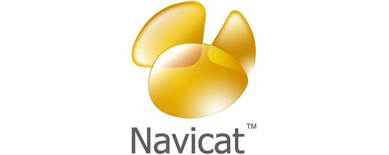 navicatwinmm