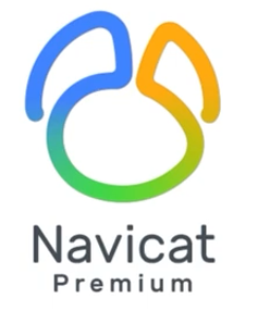 navicatipv6