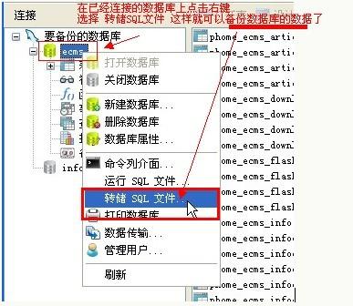 navicatpremium教學