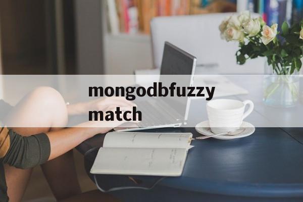 mongodbfuzzymatch_fuzzysetsandsystems