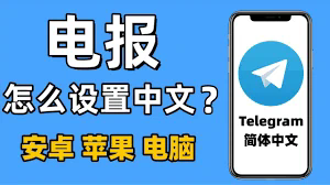 如何立即删除Telegram帐户？