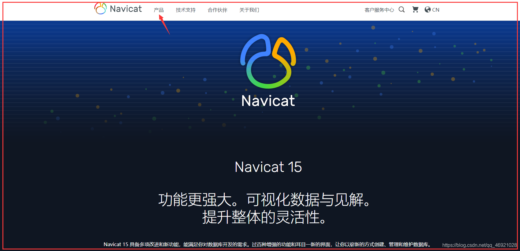 关于navicat15破解工具网盘的信息