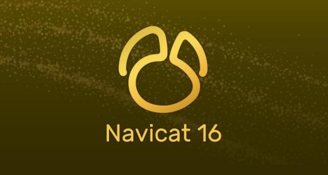 包含navicat16破解版的词条
