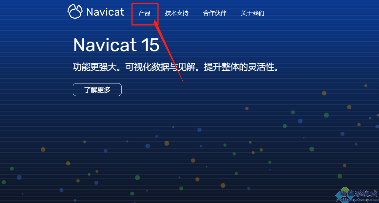 关于navicat15破解工具下载教程的信息