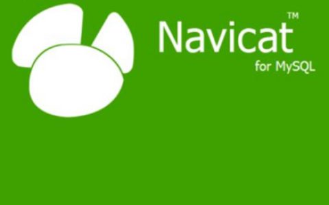 navicat破解版64位百度网盘下载的简单介绍